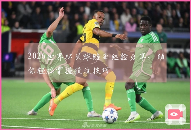 2026世界杯买球赔率经验分享，助你轻松掌握投注技巧