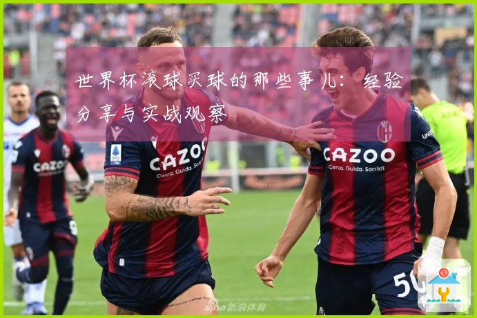 世界杯滚球买球的那些事儿：经验分享与实战观察