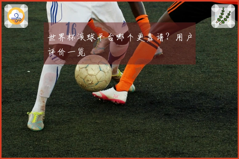 世界杯滚球平台哪个更靠谱？用户评价一览