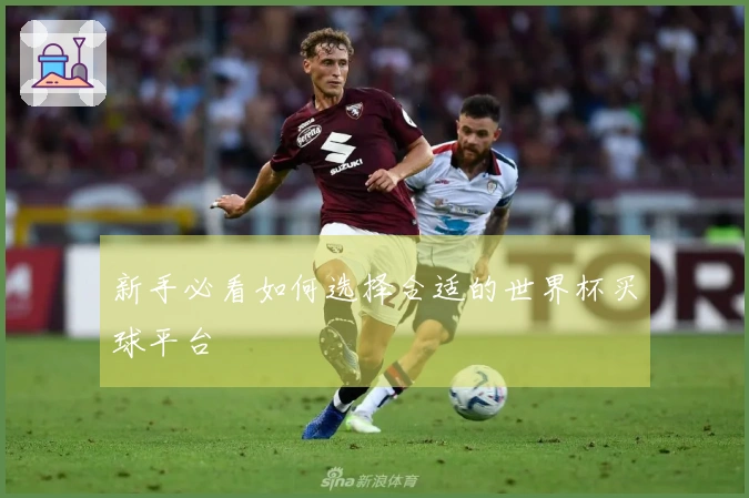 新手必看如何选择合适的世界杯买球平台