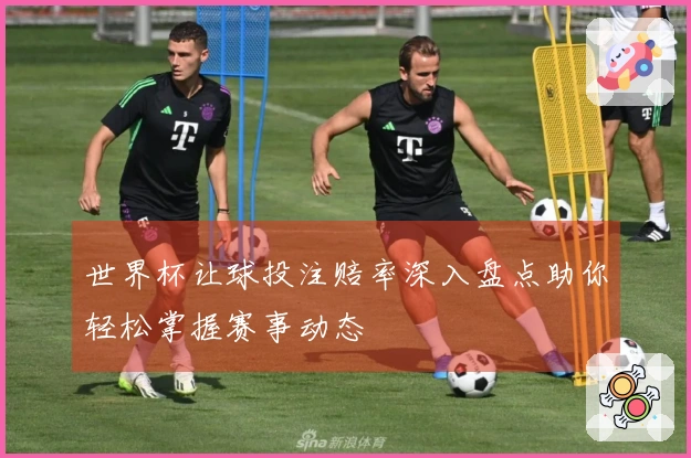 世界杯让球投注赔率深入盘点助你轻松掌握赛事动态