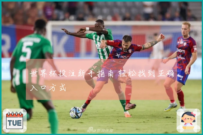 世界杯投注新手指南 轻松找到正确入口方式