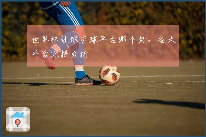 世界杯让球买球平台哪个好，各大平台比拼分析