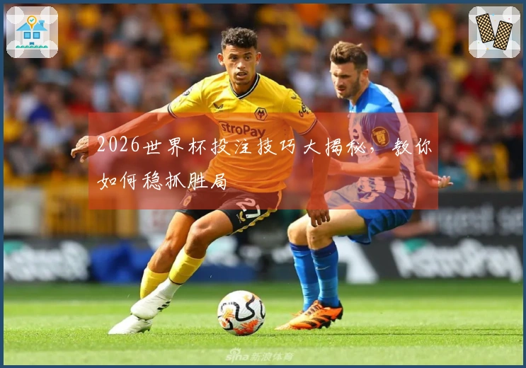 2026世界杯投注技巧大揭秘，教你如何稳抓胜局