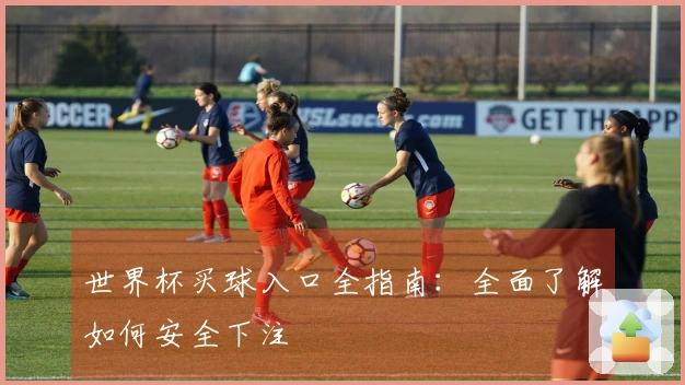 世界杯买球入口全指南：全面了解如何安全下注