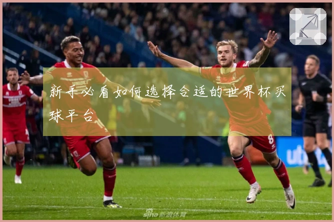 新手必看如何选择合适的世界杯买球平台